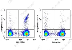Human TCR Vβ1